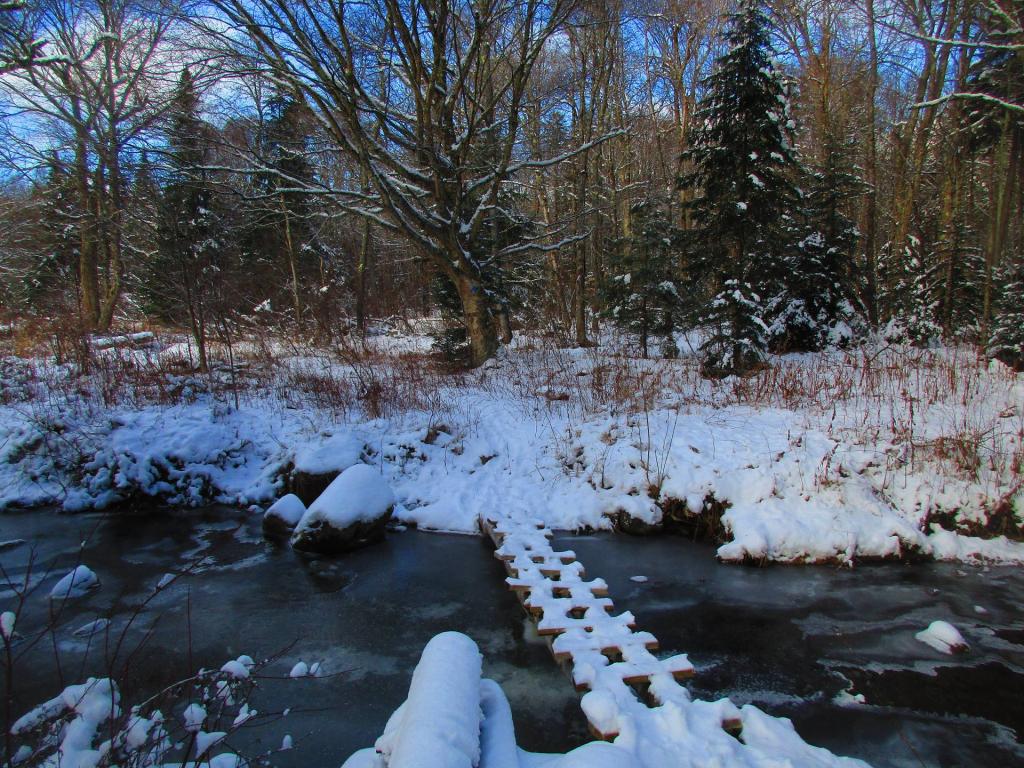 Photo: Icy crossing near Burnt Shanty Clearing on the Eleventh Mountain Trail Photo: Icy crossing near Burnt Shanty Clearing on the Eleventh Mountain Trail