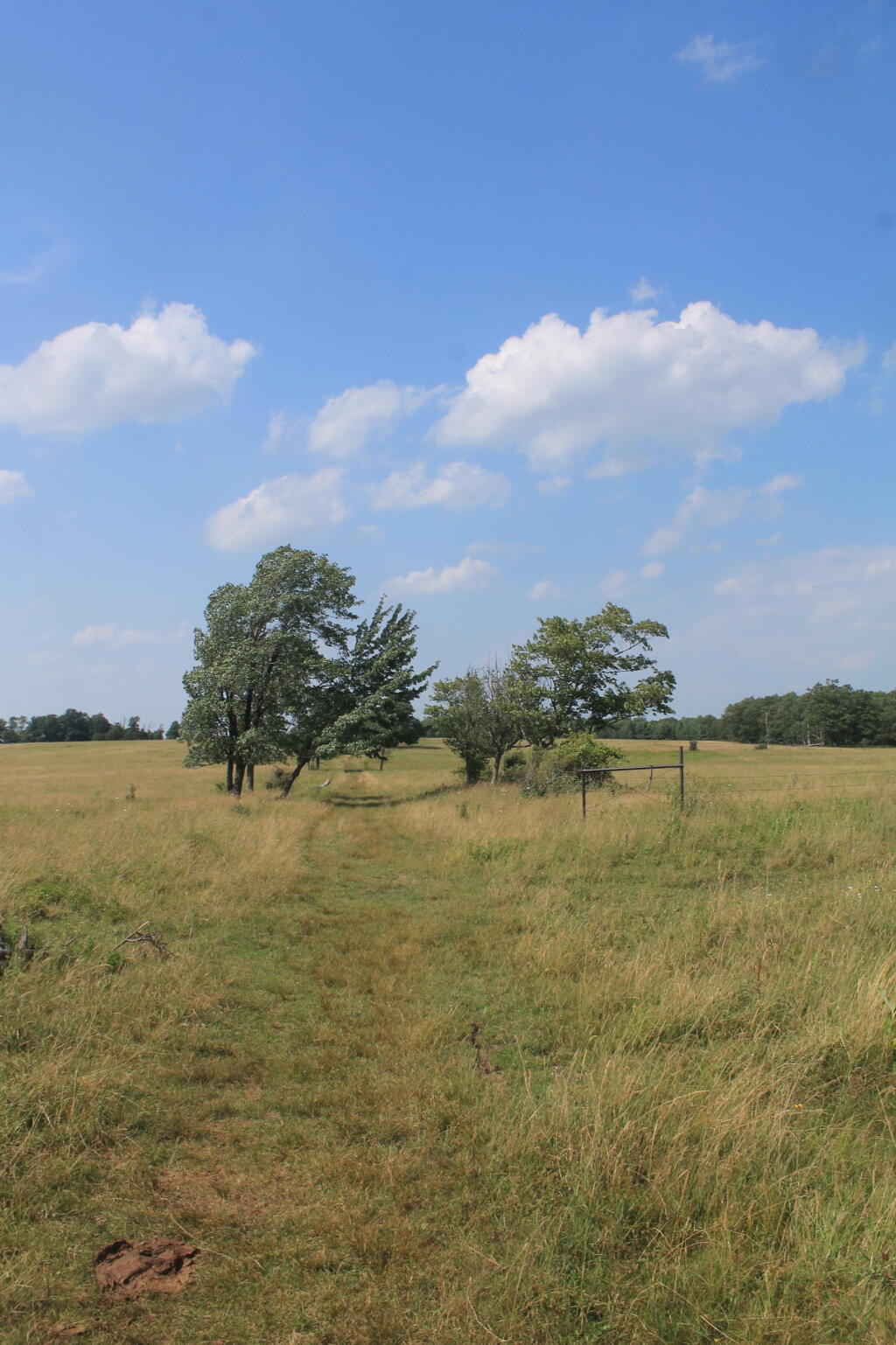 Photo: Interloken Trail Photo: Interloken Trail