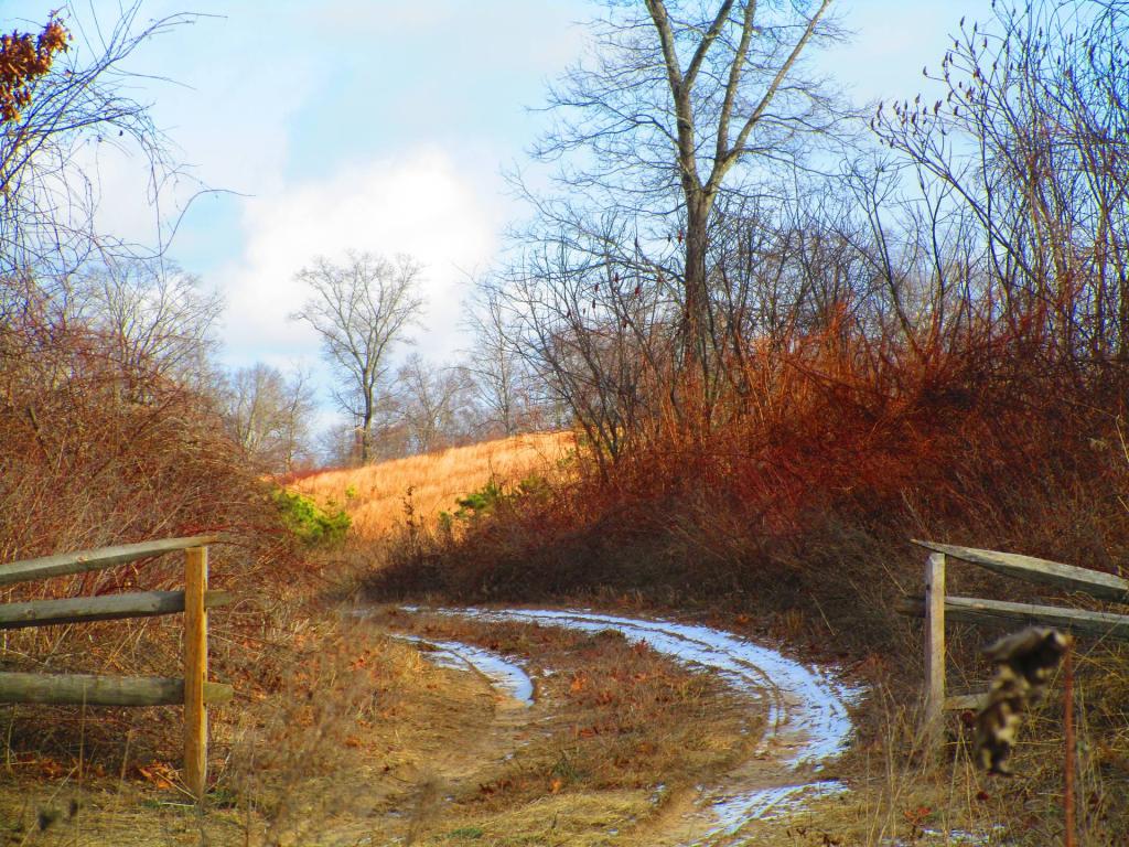 Photo: Service Road Between the Open Gate