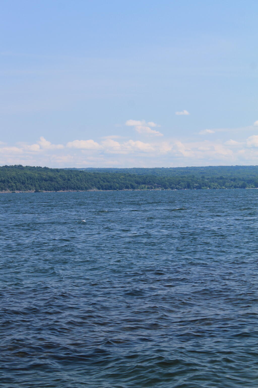 Photo: Other Side of Cayuga Lake Photo: Other Side of Cayuga Lake