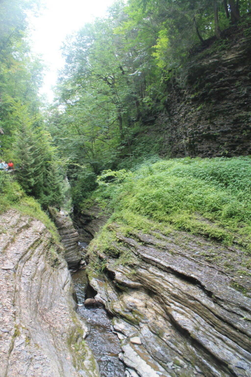 Photo: Narrow Cut Photo: Narrow Cut