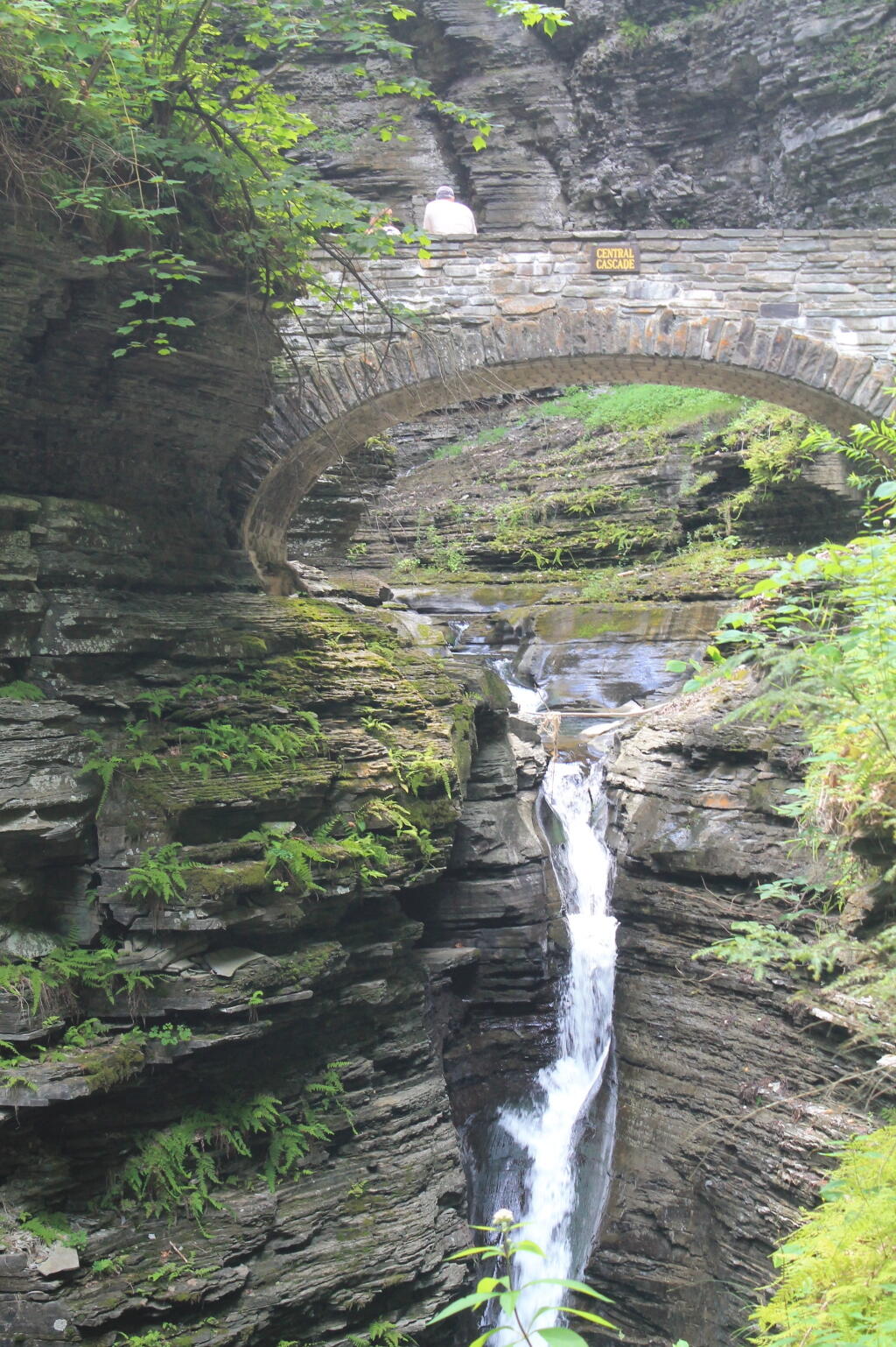 Photo: Central Bridge