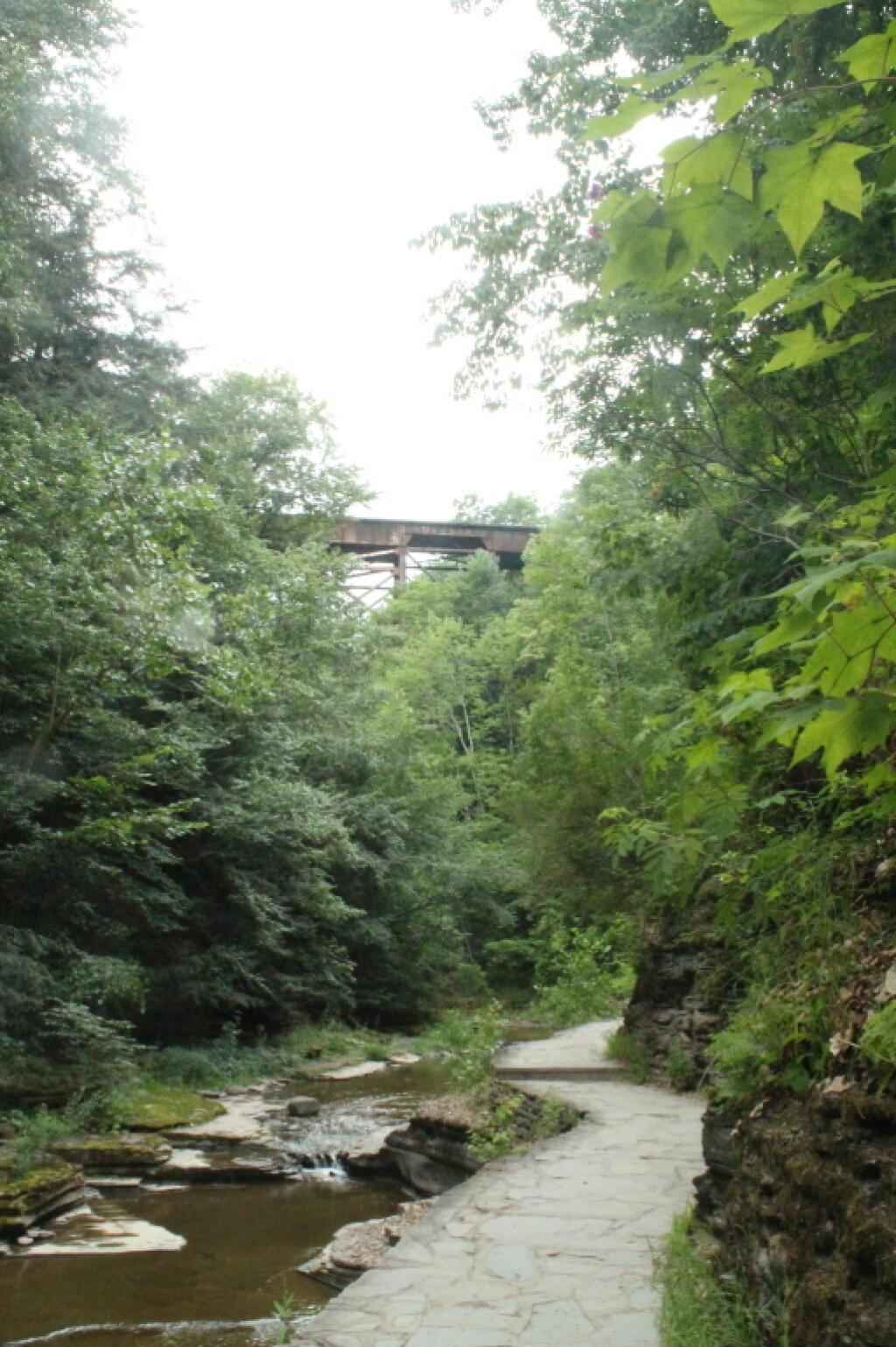 Photo: Railroad Bridge Over the Gorge