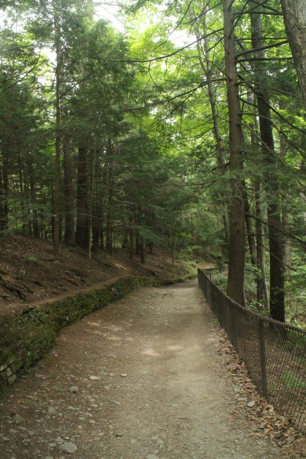 Photo: Indian Trail