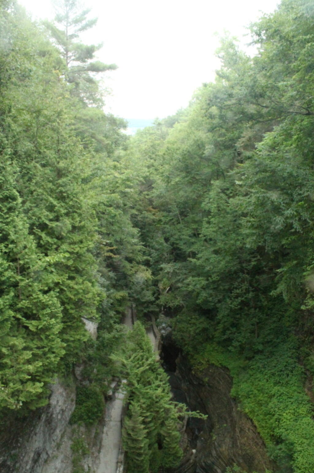 Photo: Narrow Gorge