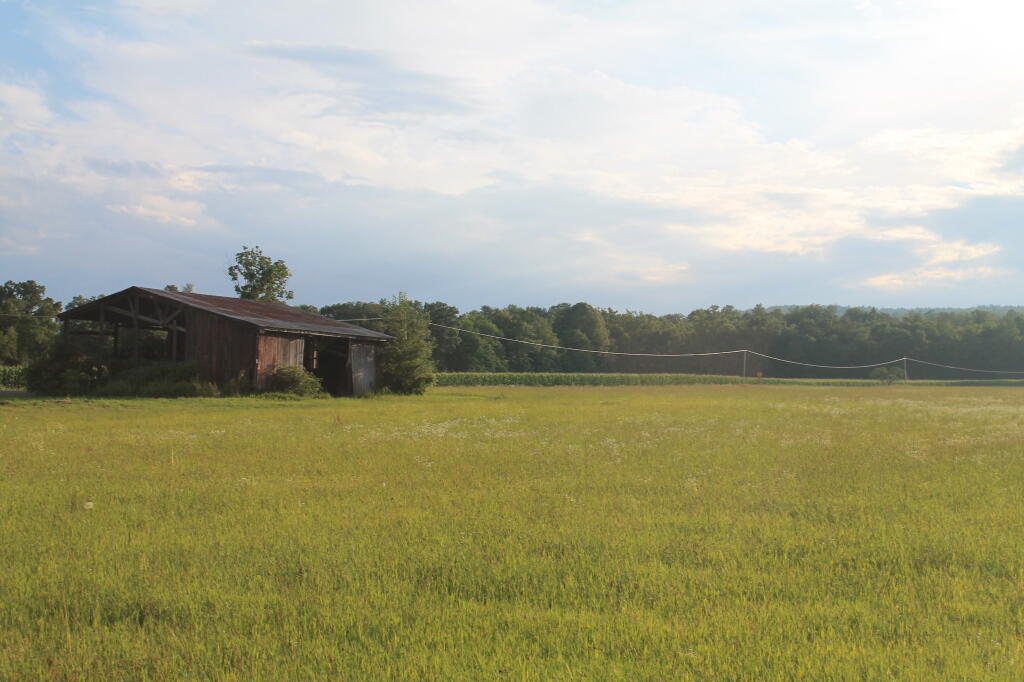 Photo: Field Photo: Field