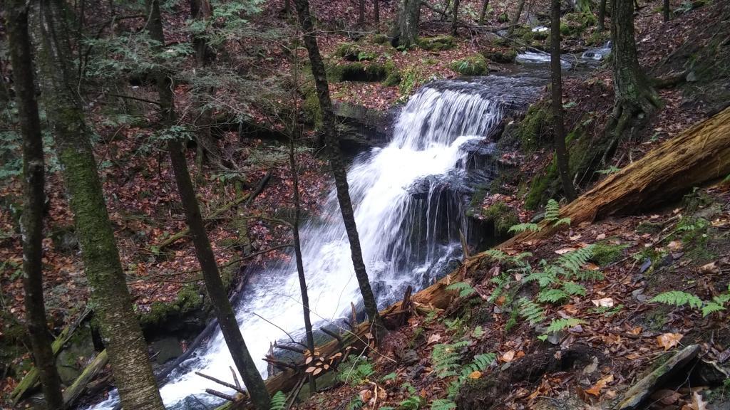 Photo: Waterfalls Photo: Waterfalls