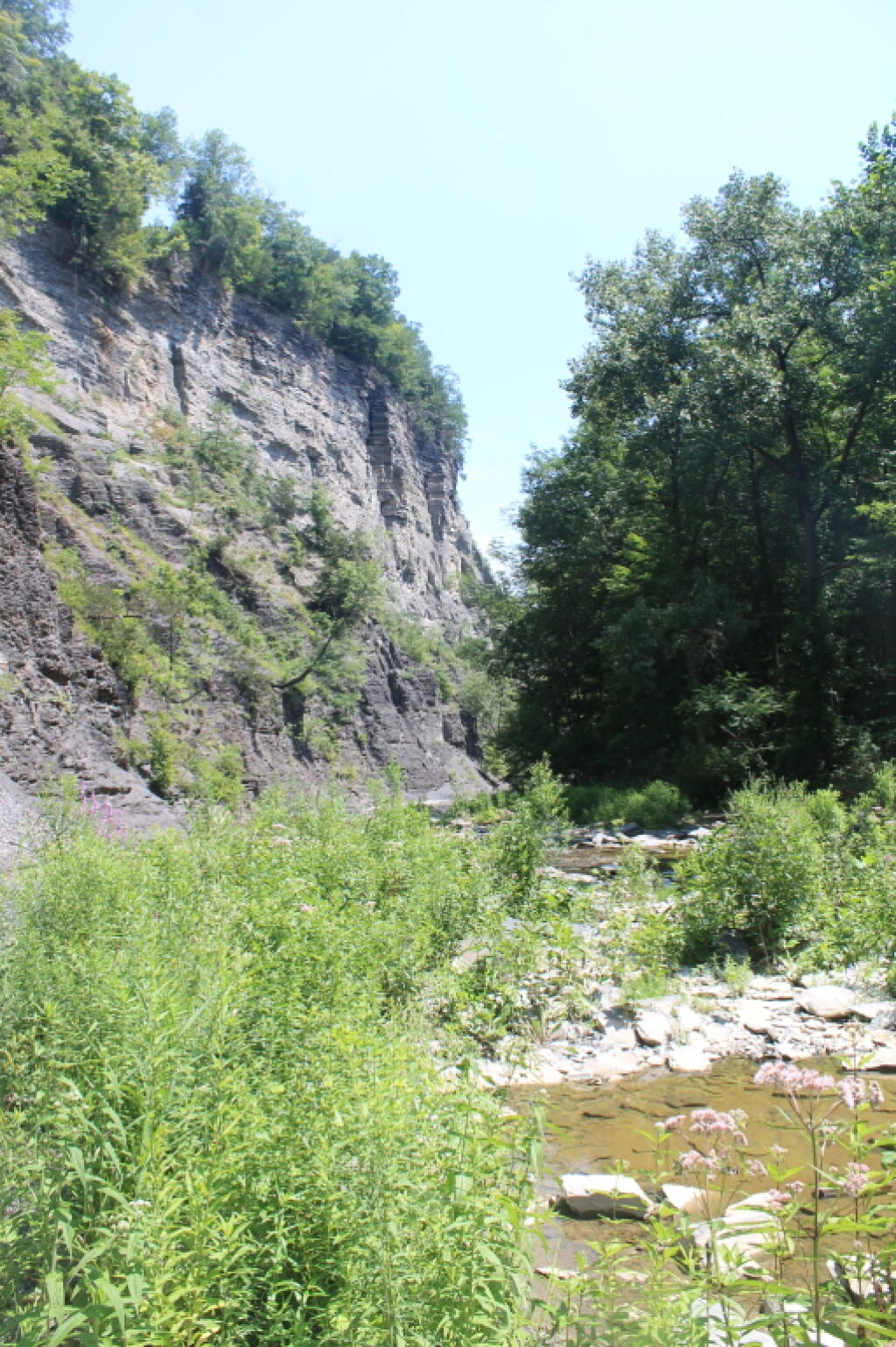 Photo: Gorge Walls
