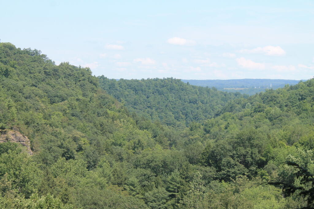 Photo: Enfield Glen as Seen from Above the Stairs Photo: Enfield Glen as Seen from Above the Stairs