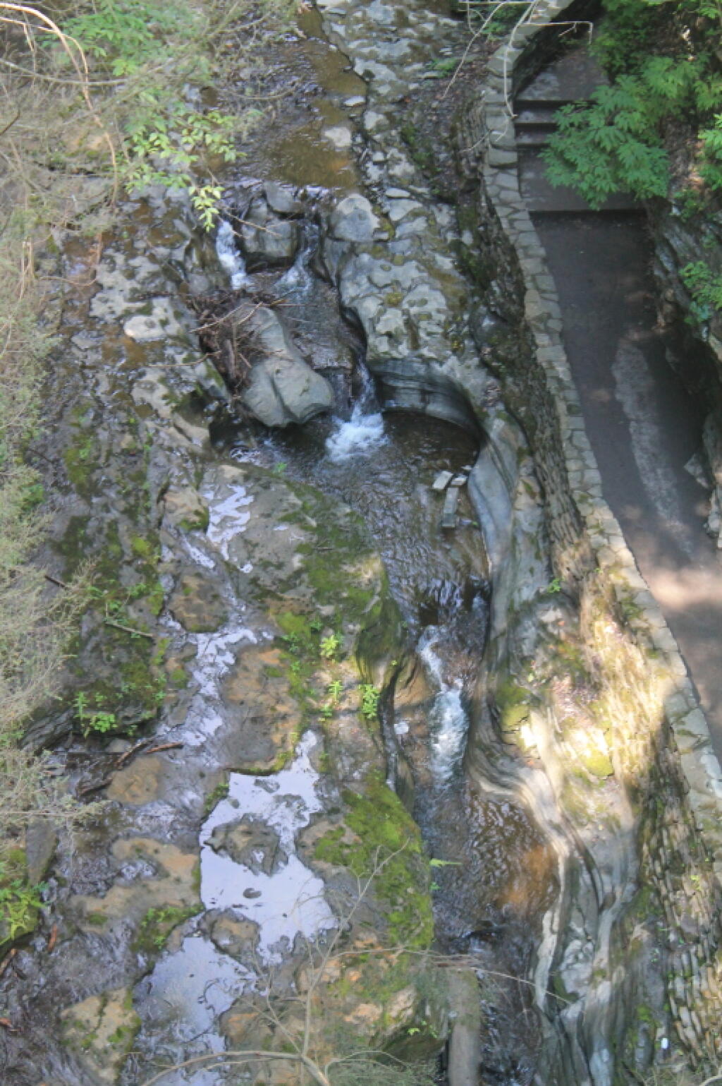 Photo: Gorge from the Suspension Bridge
