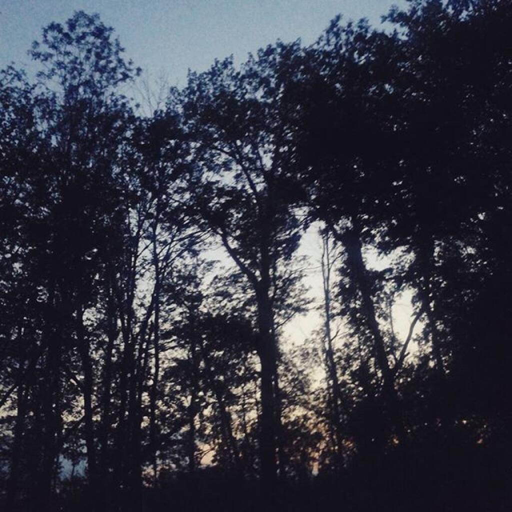Photo: This evening Photo: This evening