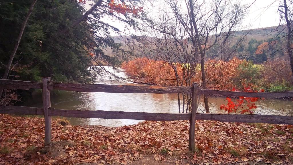 Photo: Schenevus Creek Photo: Schenevus Creek