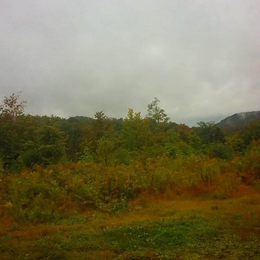 Photo: The sun ain't going to shine anymore Photo: The sun ain't going to shine anymore