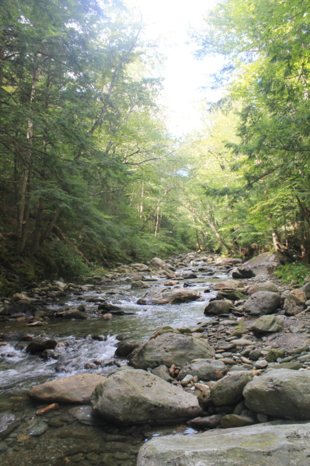 Photo: Upstream on the White River Photo: Upstream on the White River