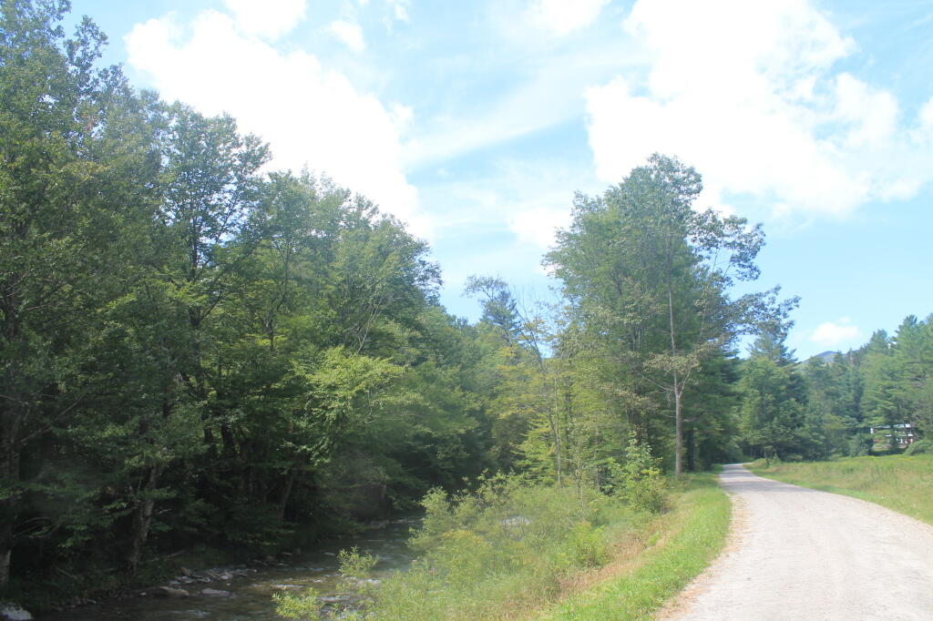 Photo: Bingo Brook Road