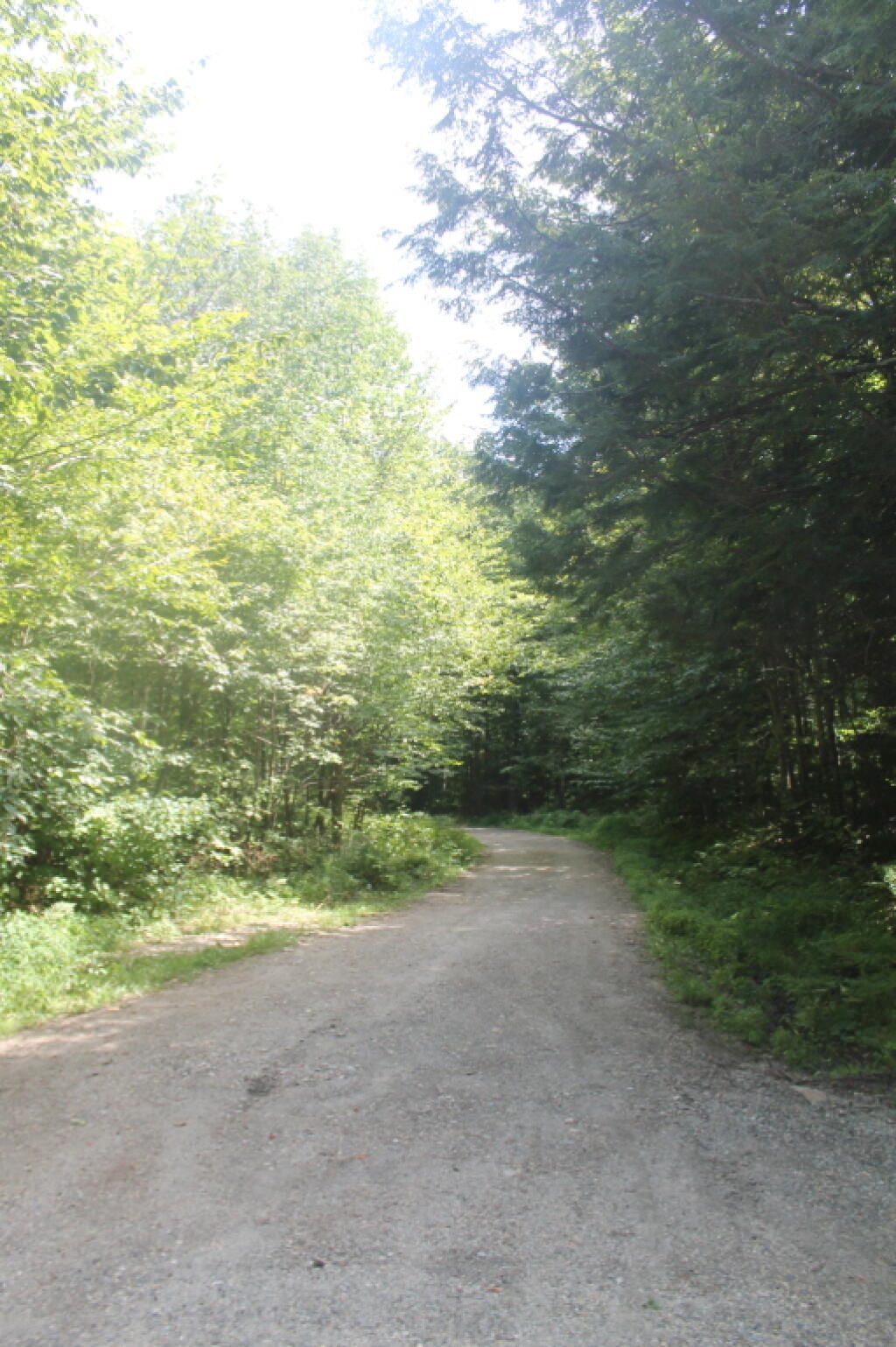 Photo: End of Bingo Brook Road