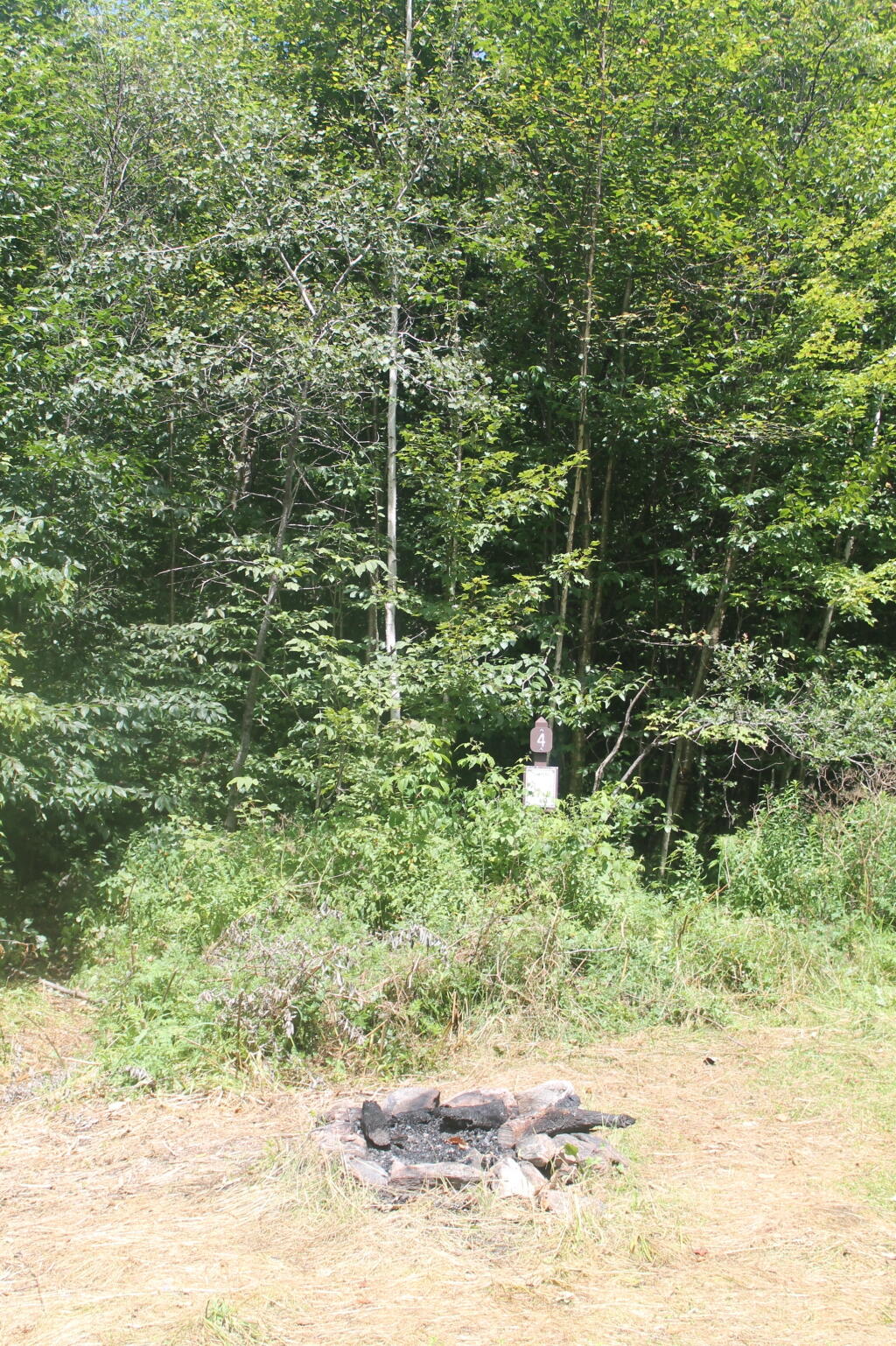 Photo: Campsite 4