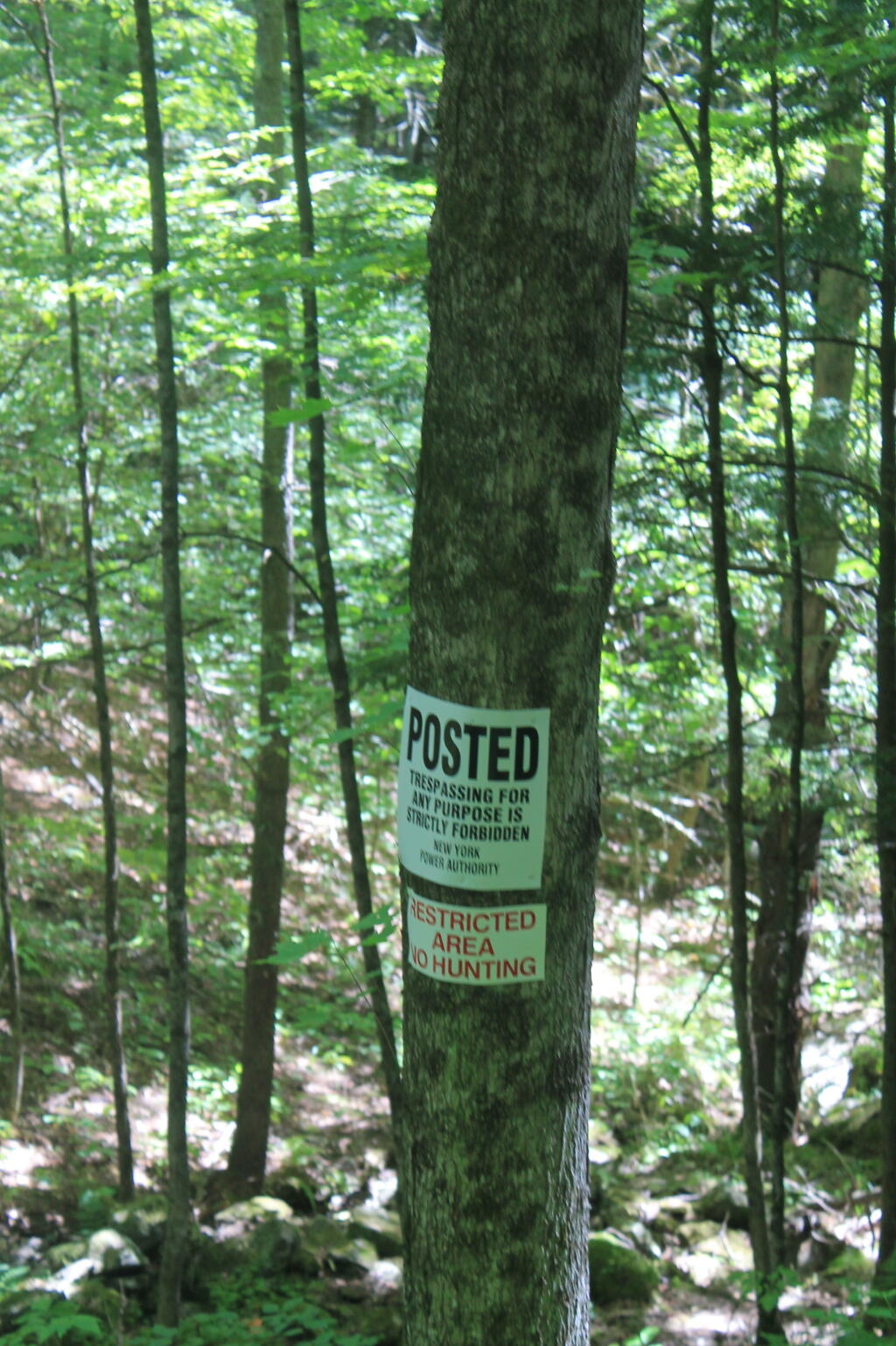 Photo: NYPA Posted Sign Photo: NYPA Posted Sign