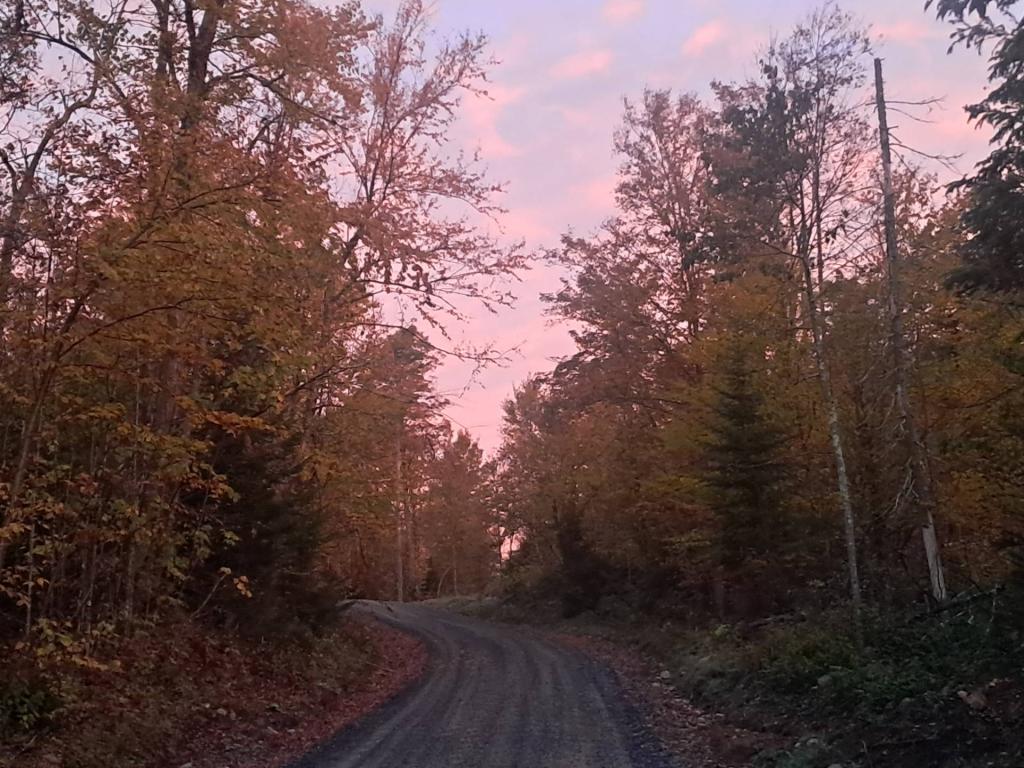 Photo: Untitled Photo: Untitled