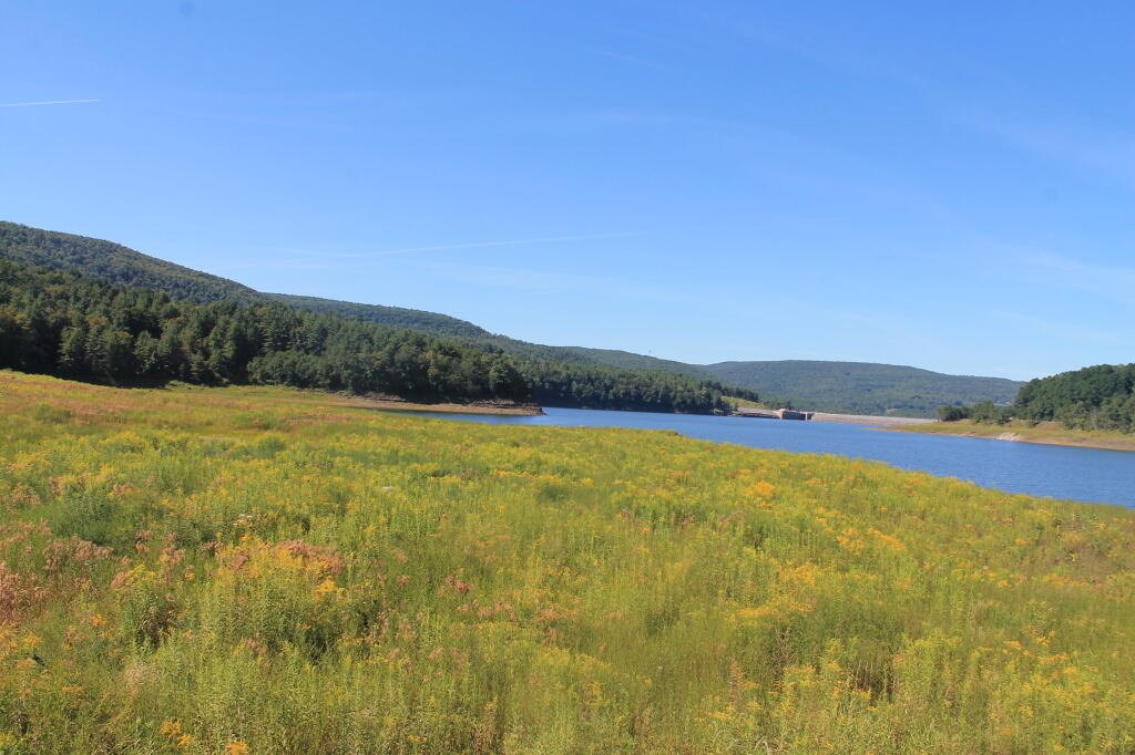 Photo: Blenheim Lower Reservior Photo: Blenheim Lower Reservior