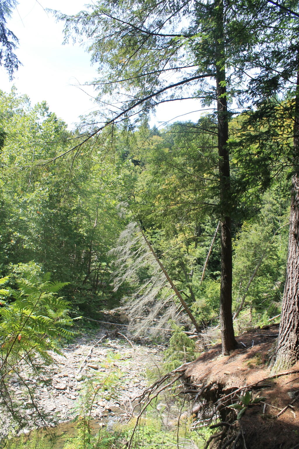 Photo: Mine Kill Gorge Photo: Mine Kill Gorge