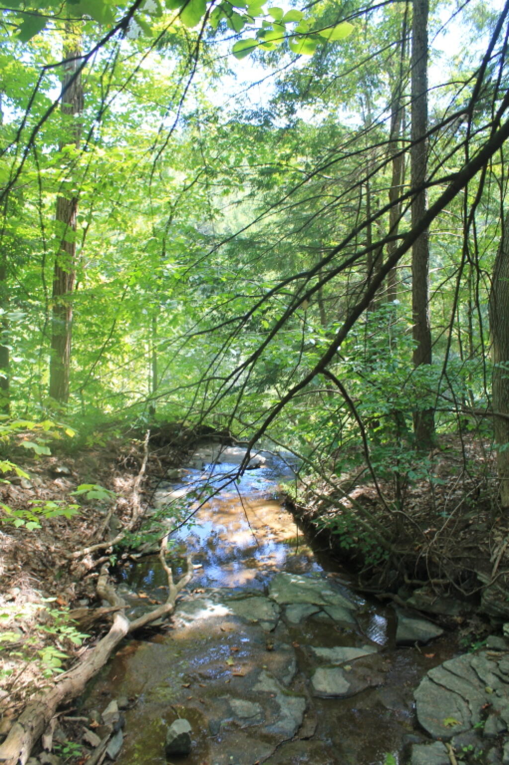 Photo: Above Small Water Fall Into Mine KIll Gorge Photo: Above Small Water Fall Into Mine KIll Gorge