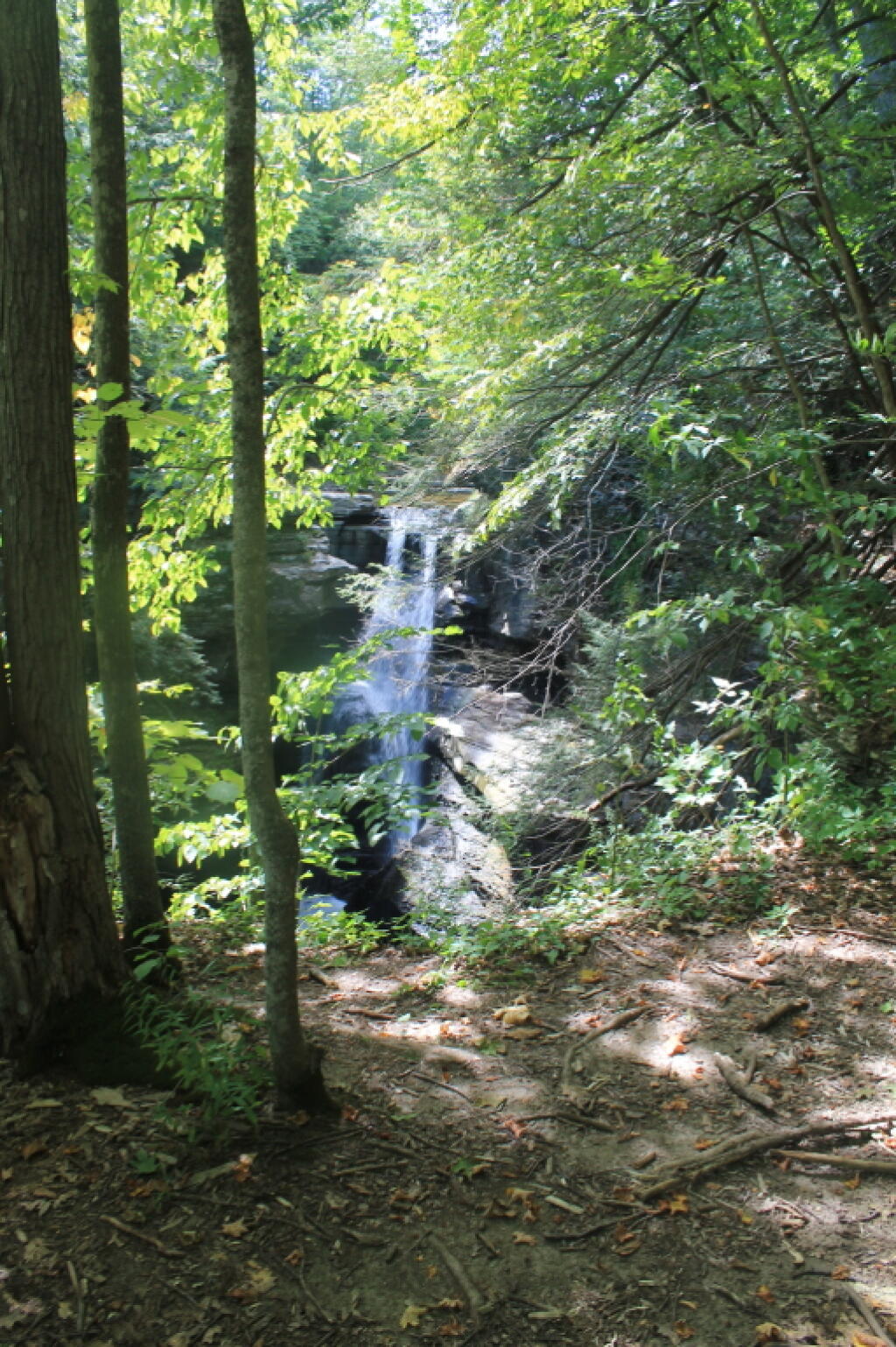 Photo: Little Known View of Mine Kill Falls Photo: Little Known View of Mine Kill Falls