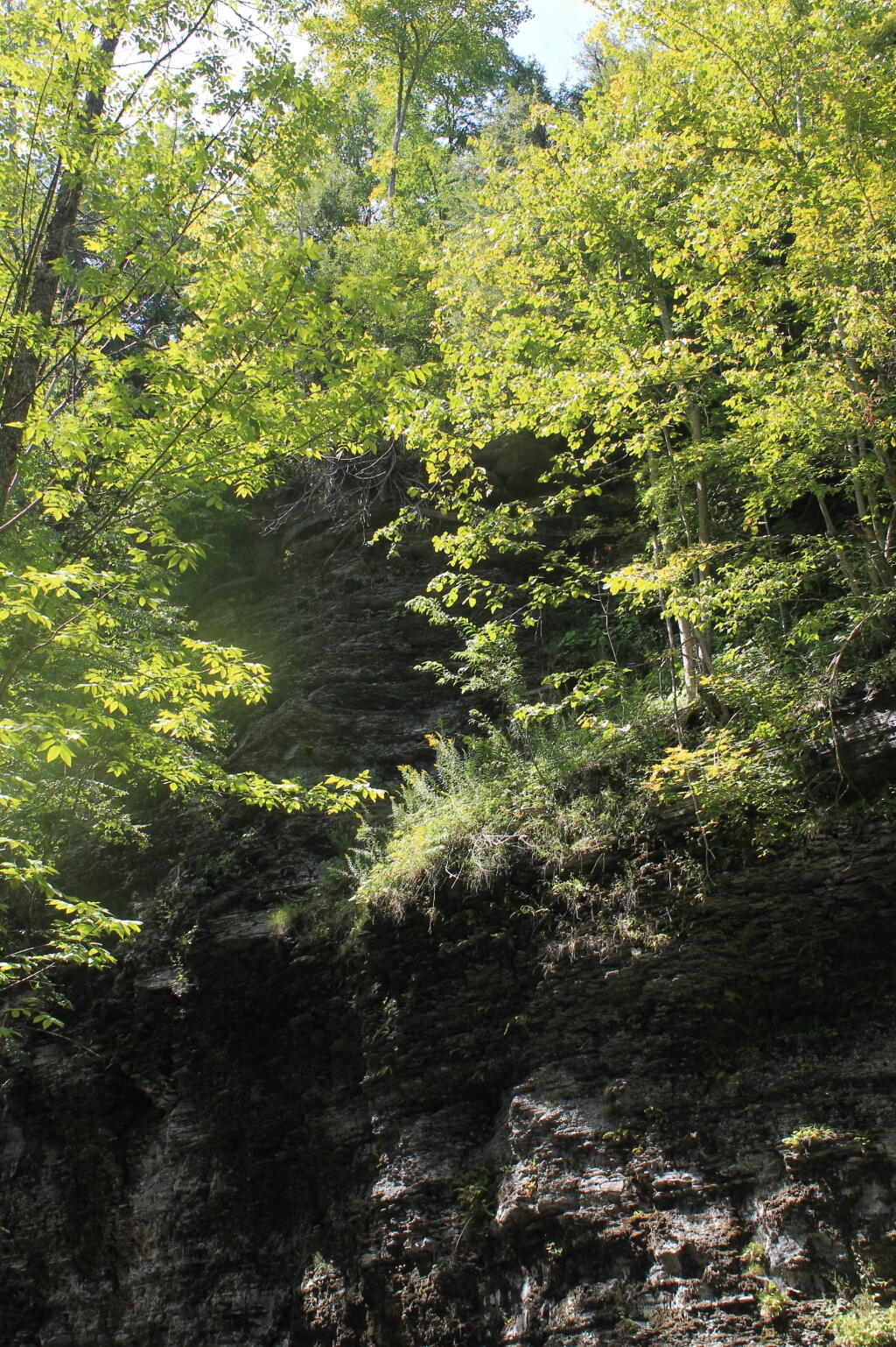 Photo: Cliffs Over Mine Kill Photo: Cliffs Over Mine Kill
