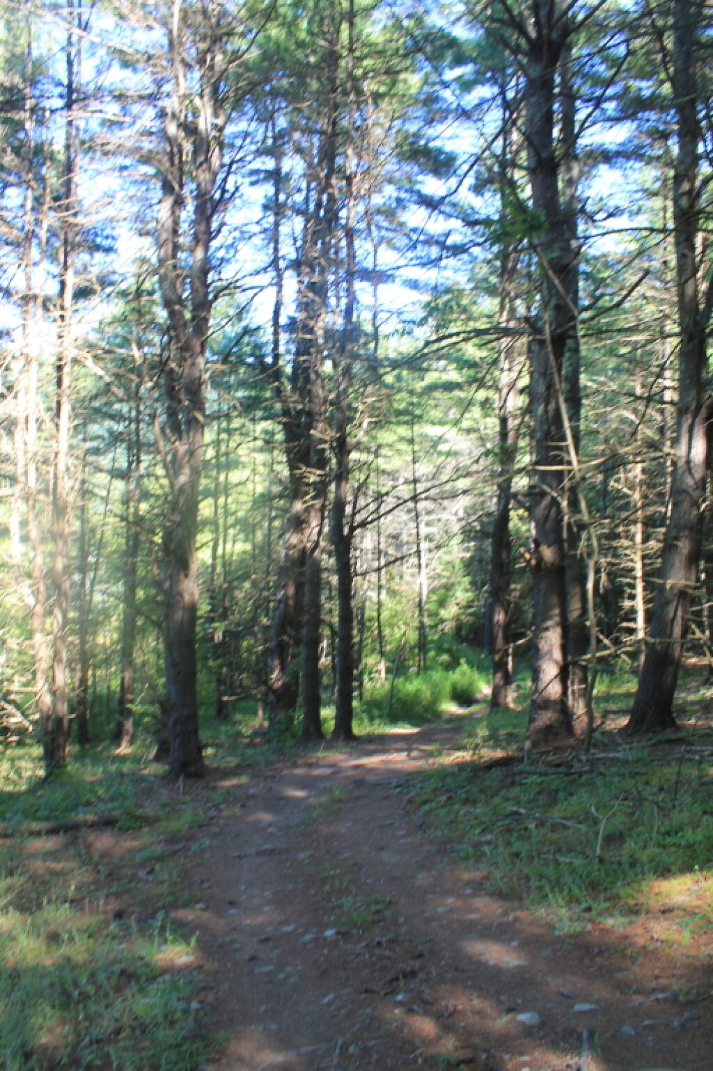 Photo: Trail Along the Reservior Photo: Trail Along the Reservior