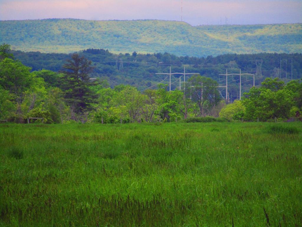 Photo: Meads Road Photo: Meads Road