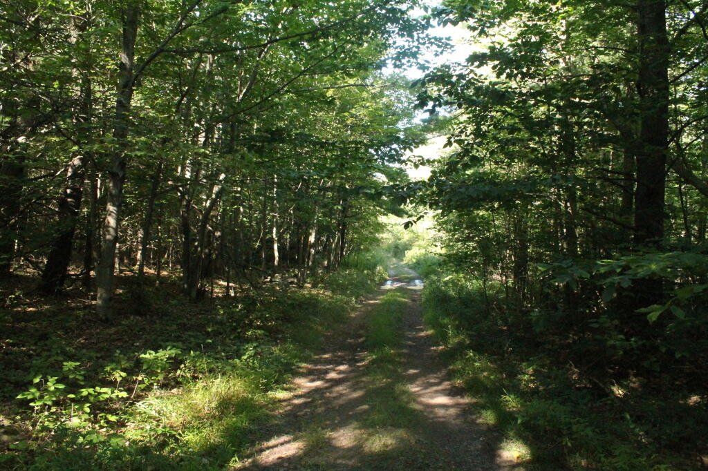 Photo: Rivenburg Snowmobile Trail Loop Photo: Rivenburg Snowmobile Trail Loop
