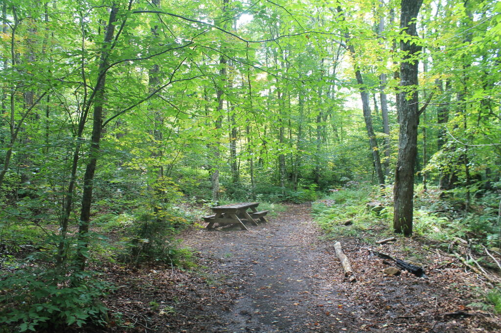Photo: Mitchells Pond Accessiable Campsite Photo: Mitchells Pond Accessiable Campsite