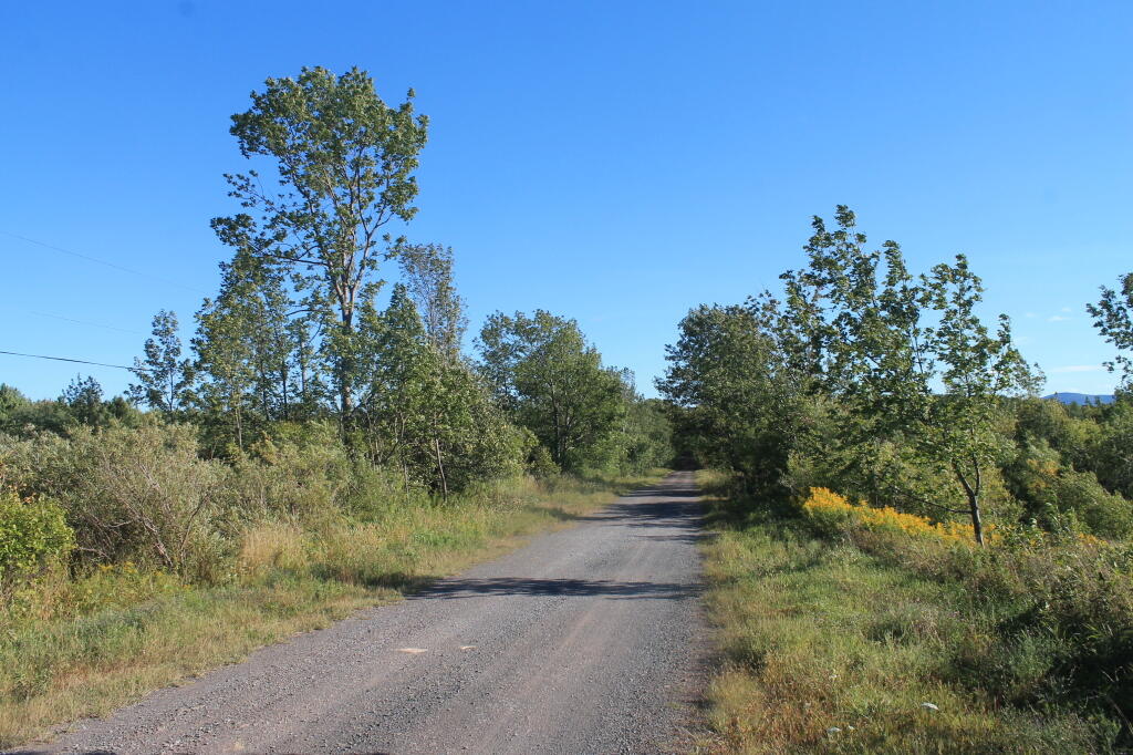 Photo: Scutt Road