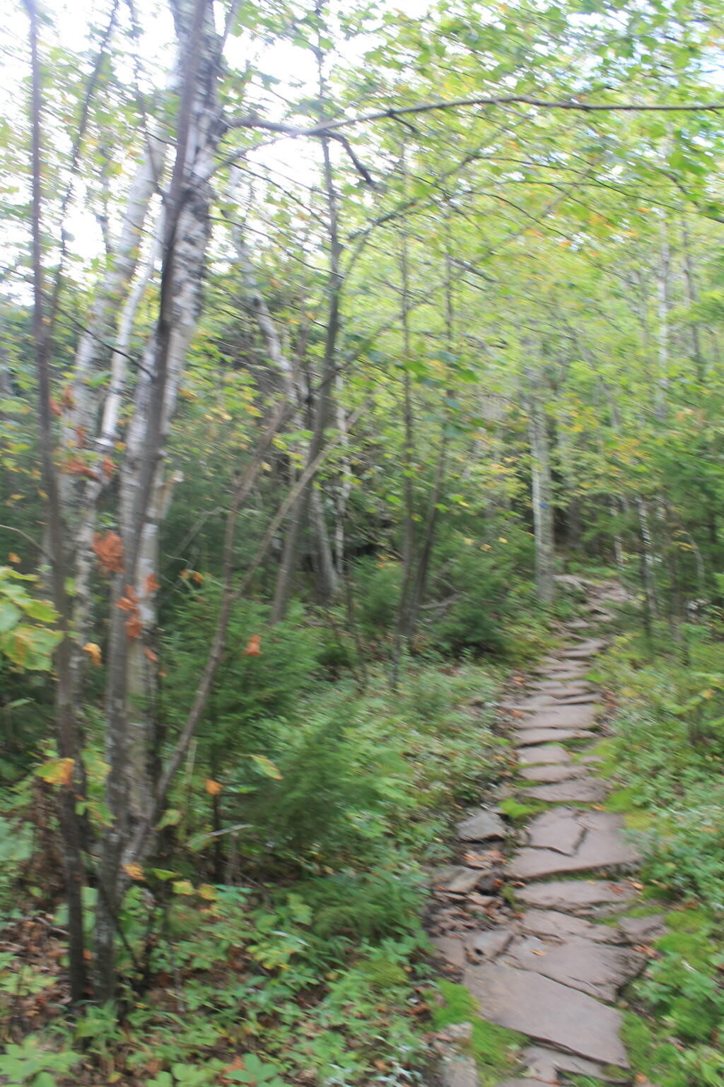 Photo: Stone Walkway