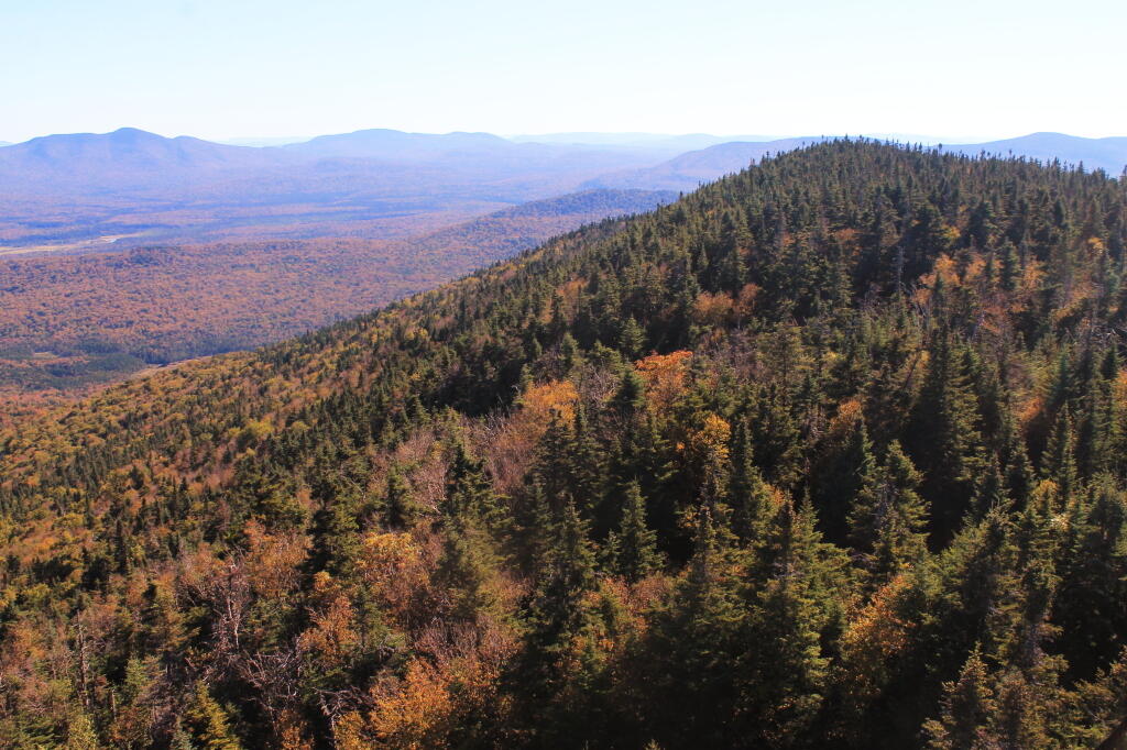 Photo: Cellar Mountain