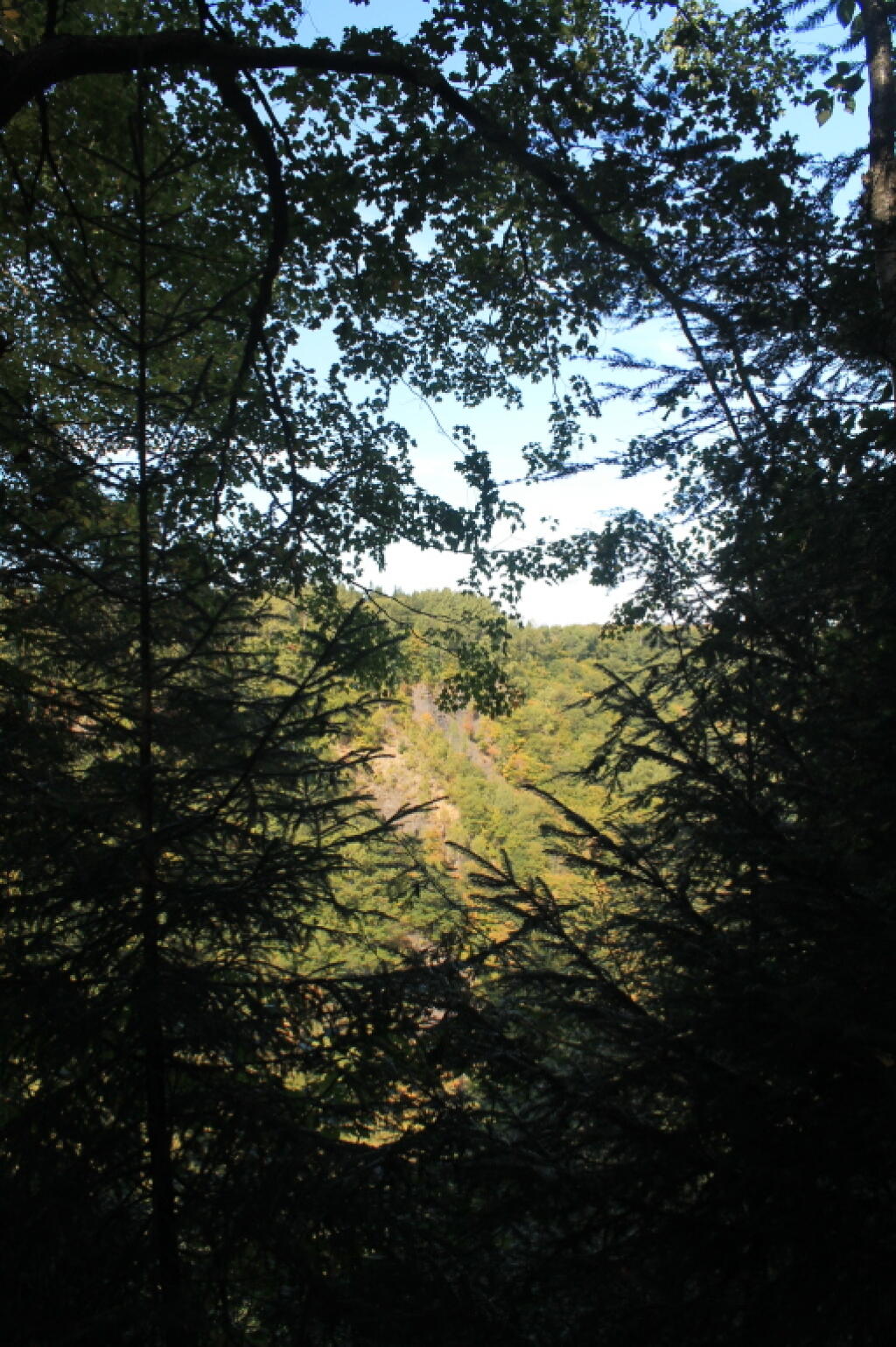 Photo: Into The Gorge From Escarpment Trail