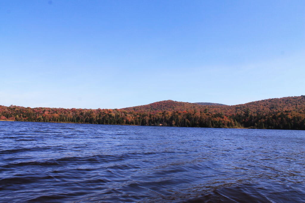 Photo: Across Cedar River Flow