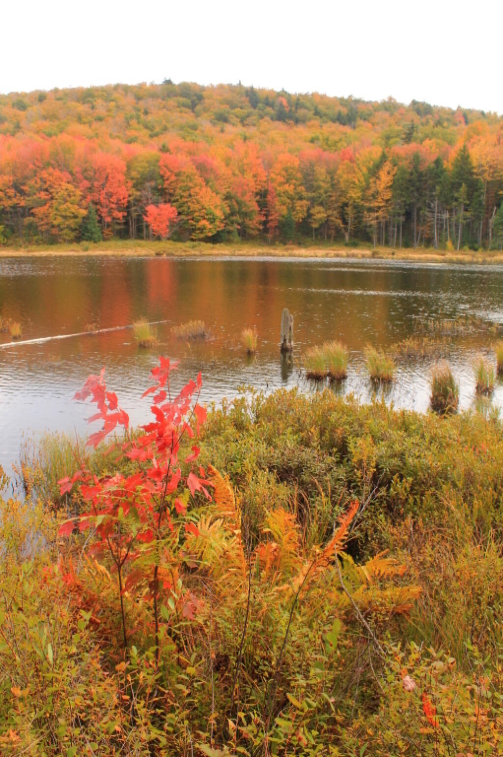 Photo: Across Muskrat
