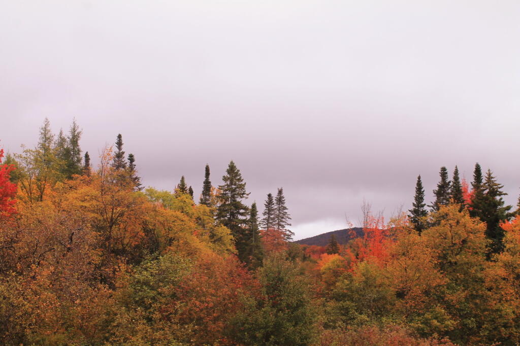 Photo: Cloudy But Colorful