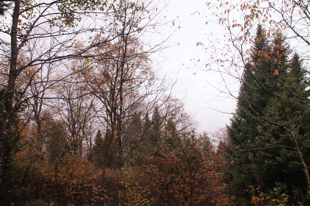 Photo: Gray Start To Sunday Photo: Gray Start To Sunday