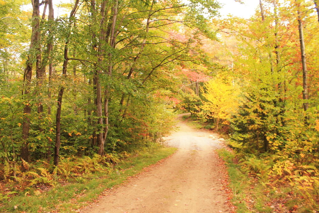 Photo: Indian Lake Near New Terminus