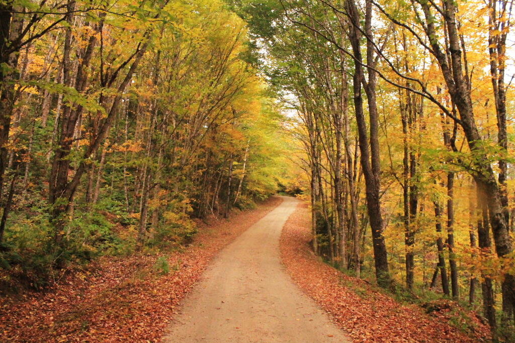 Photo: Indian Lake Road Bends