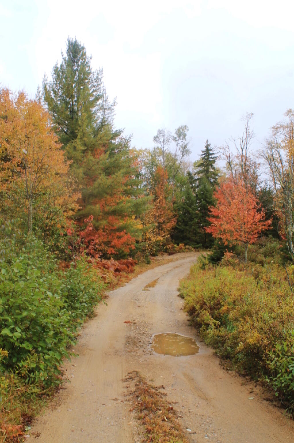 Photo: Muddy Cedar River Limekiln Lake Road After Saturday Night Rain