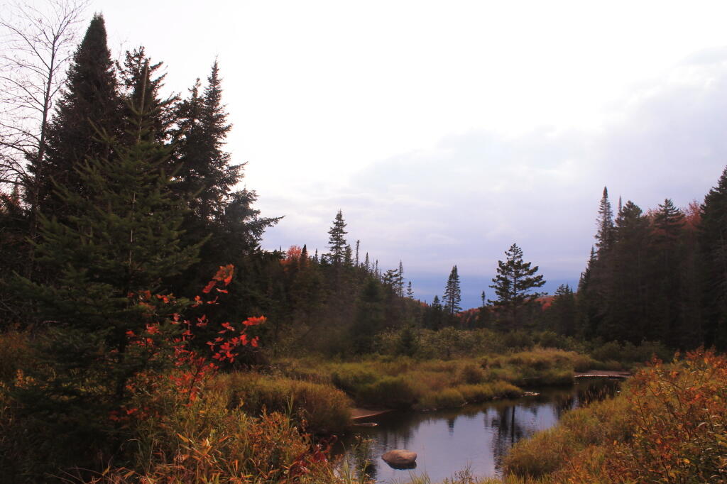 Photo: Muskrat Creek With Rain Clouds In Distance