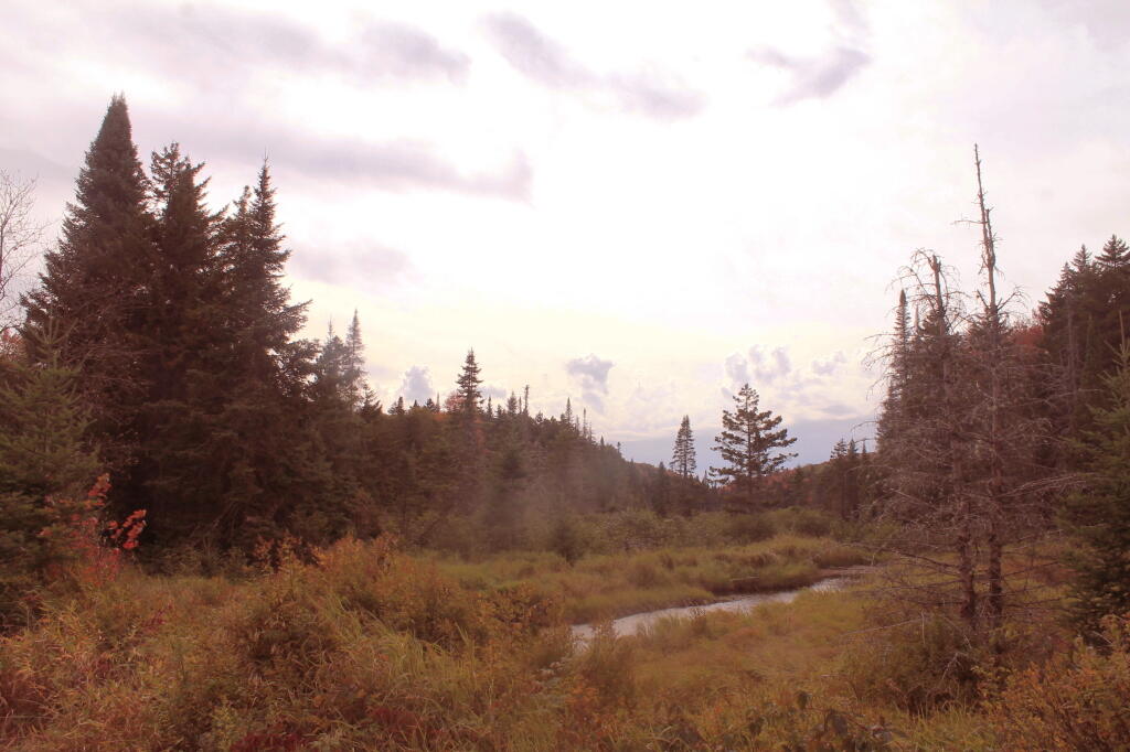 Photo: Musgrat Pond