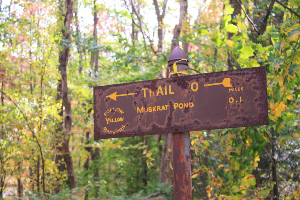 Photo: Muskrat Pond Sign