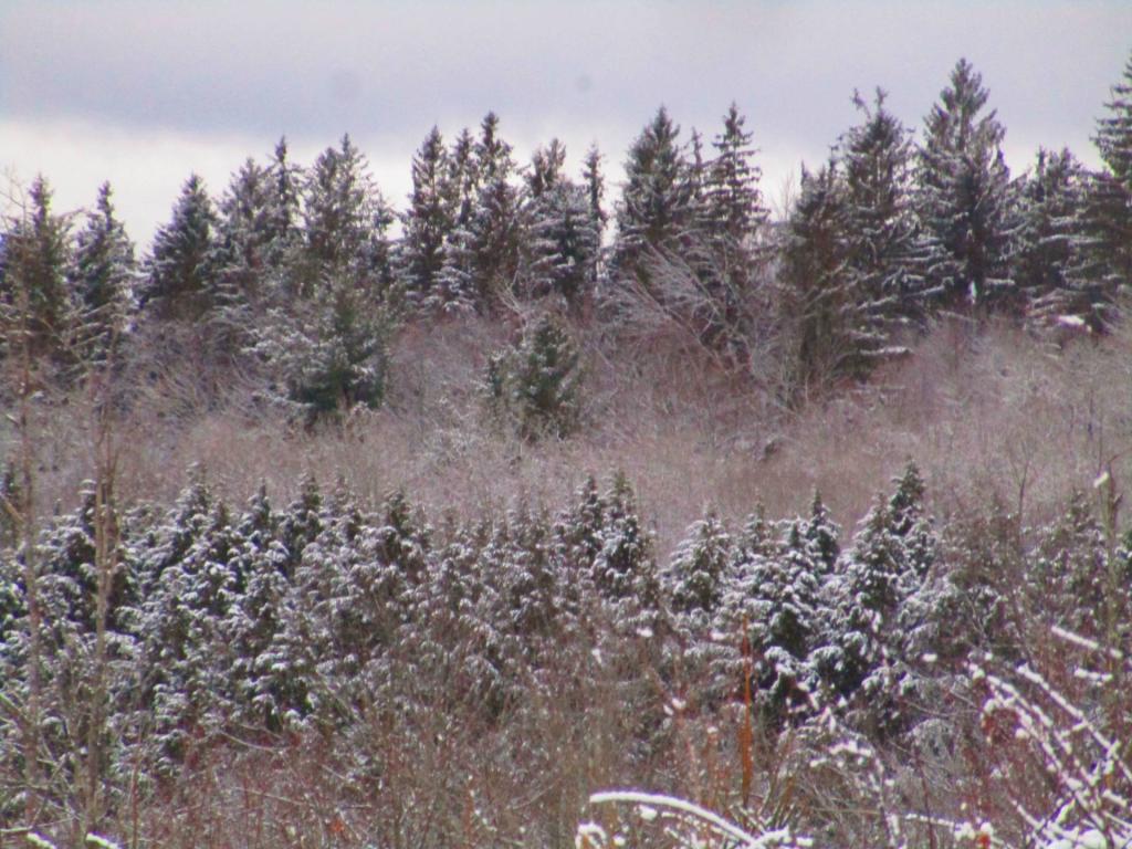 Photo: Untitled Photo: Untitled