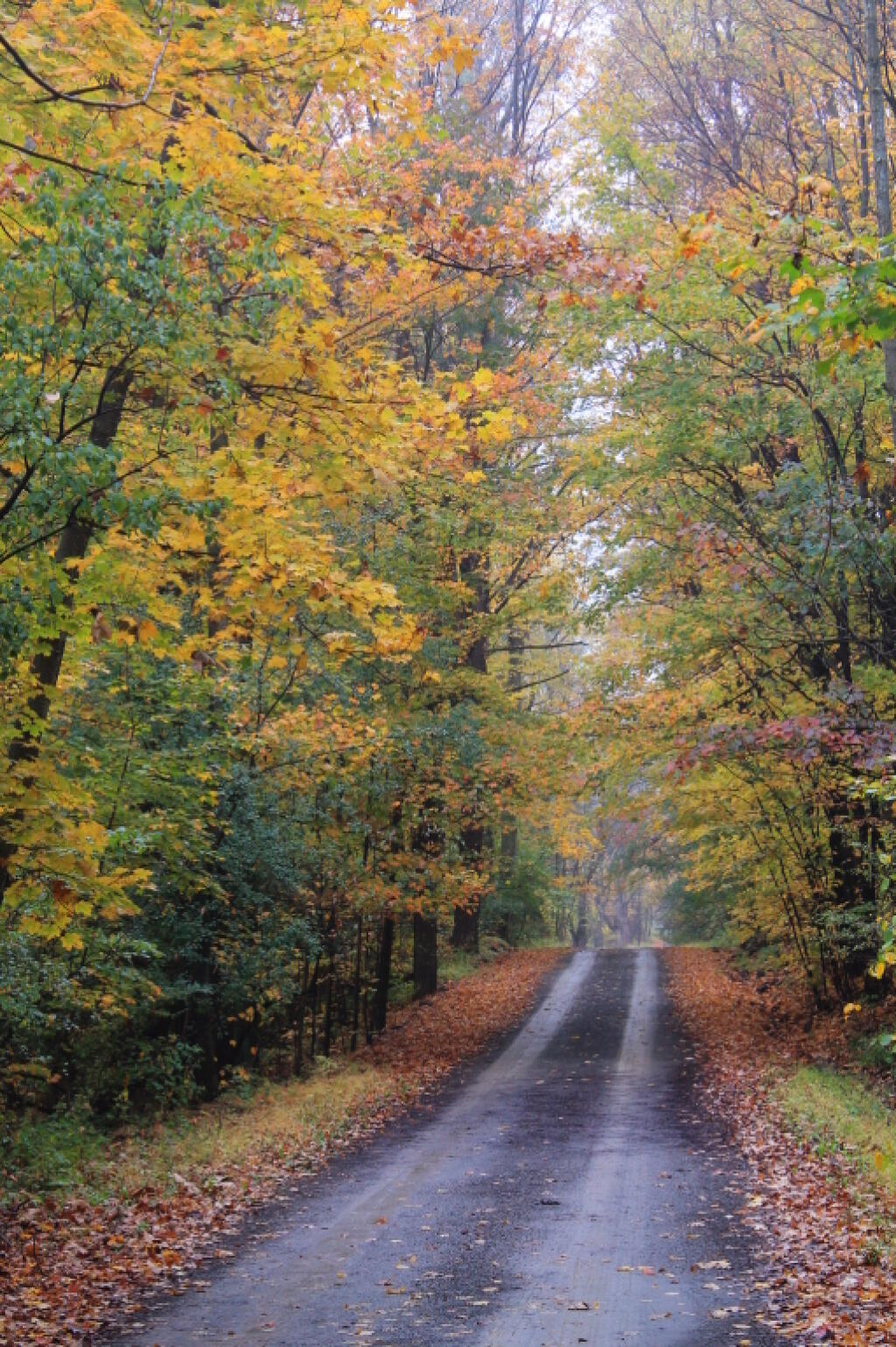 Photo: Texas Hollow Road 1 Photo: Texas Hollow Road 1