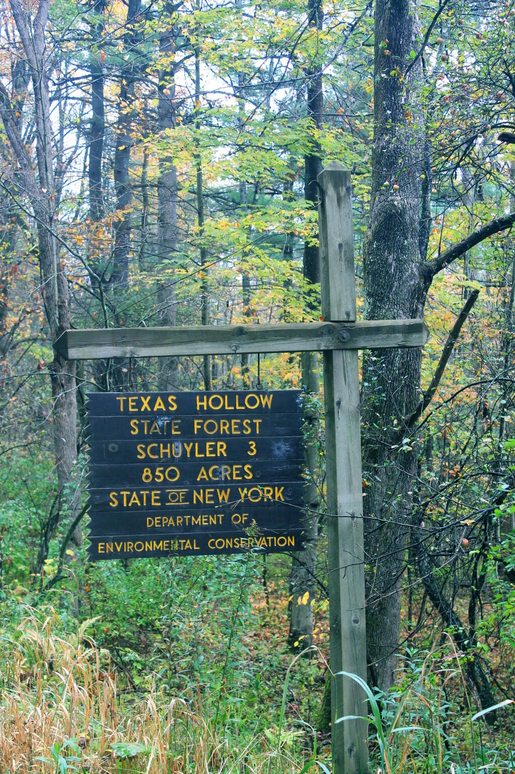 Photo: Texas Hollow Sign Photo: Texas Hollow Sign
