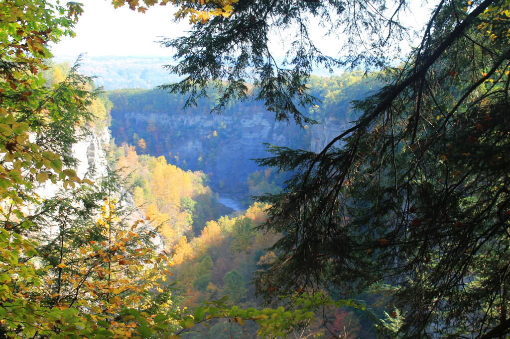Photo: Back in the Gorge